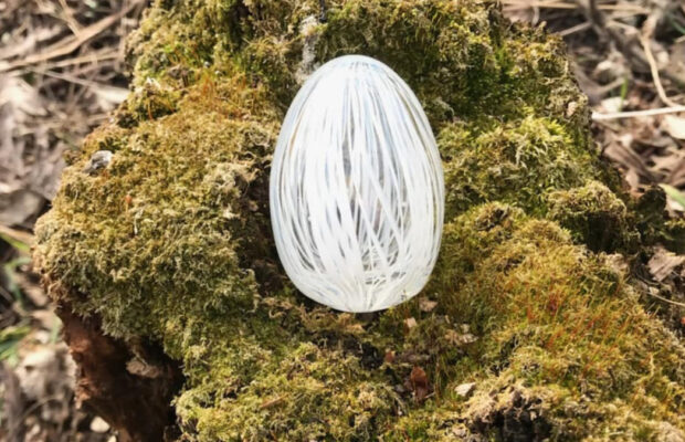 Earth Day & Extraordinary Eggs