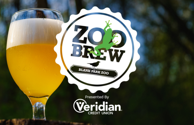 Halloween Zoo Brew Halloween Zoo Brew